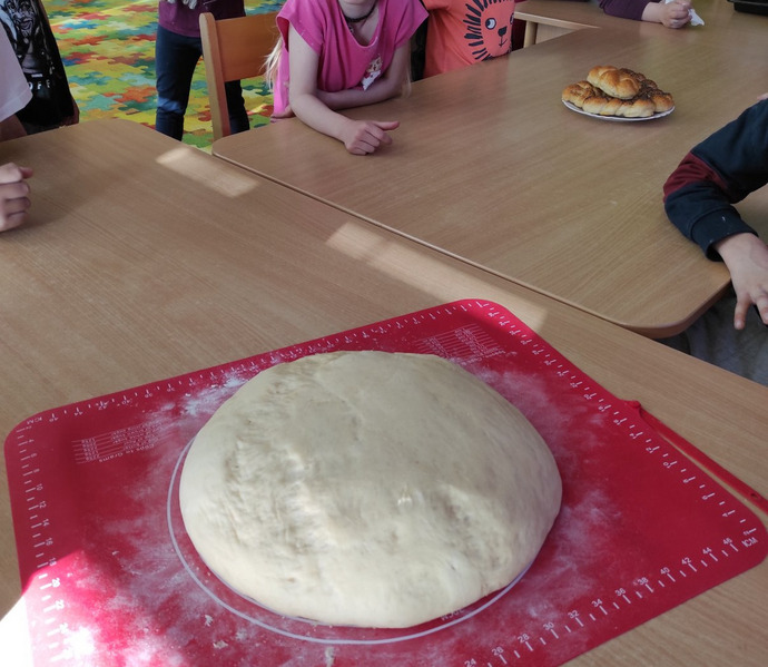 Obrázek galerie  25984