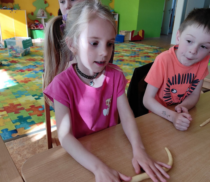 Obrázek galerie  25991