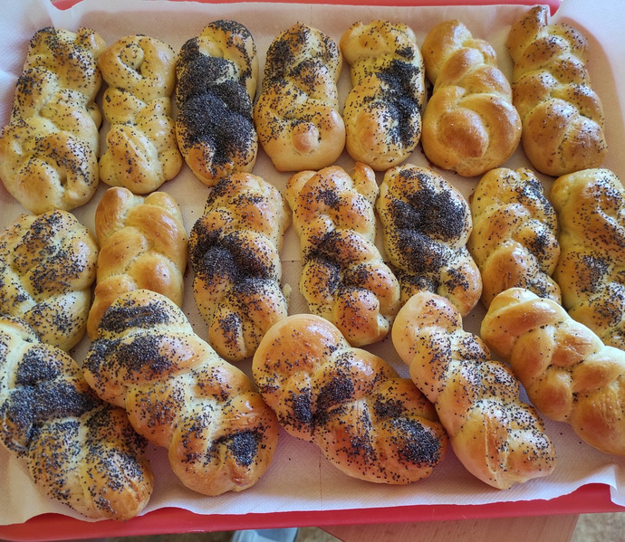 Obrázek galerie  26066