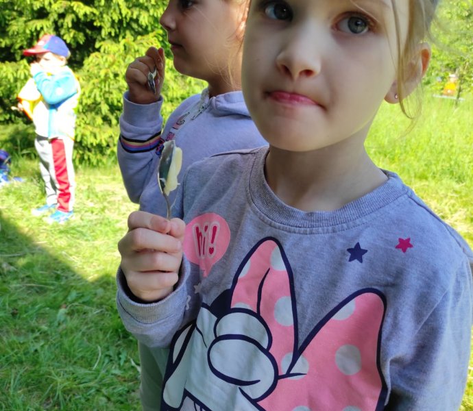 Obrázek galerie  26137