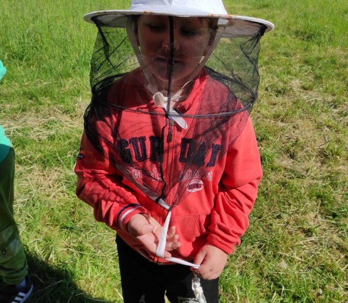 Obrázek galerie  26145