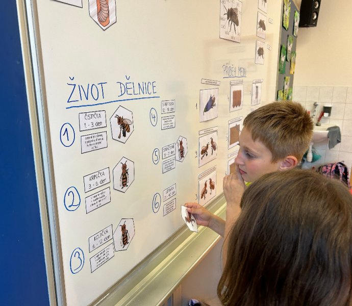 Obrázek galerie  26182