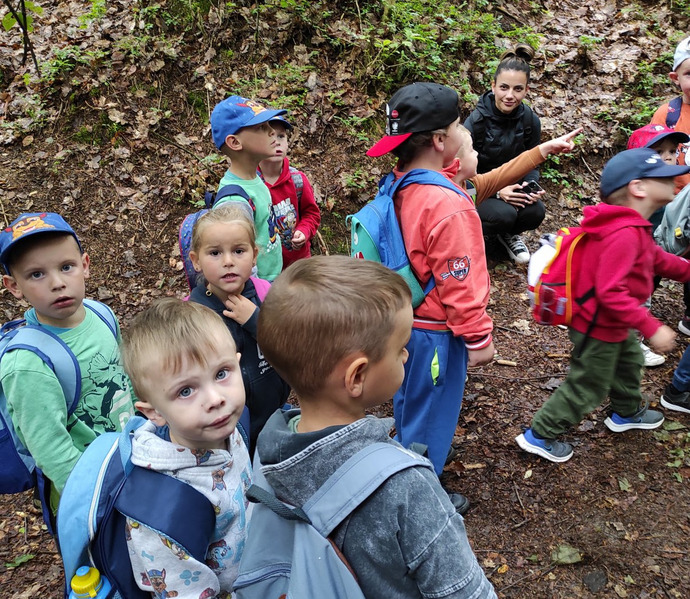 Obrázek galerie  26215