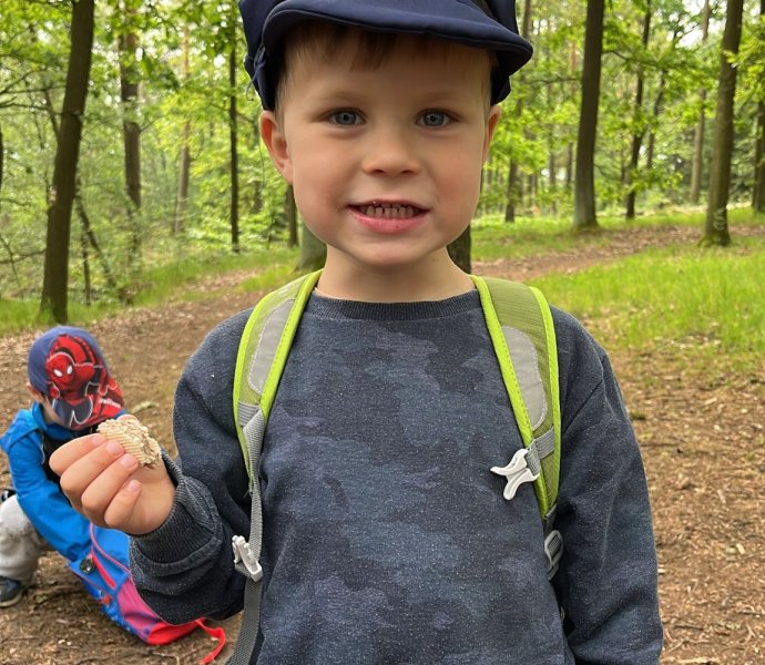 Obrázek galerie  26286