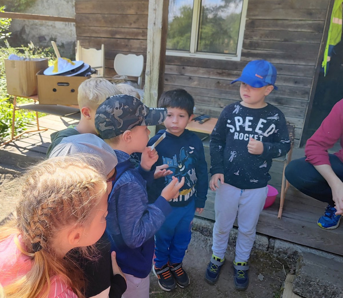 Obrázek galerie  26374