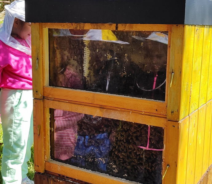 Obrázek galerie  26388