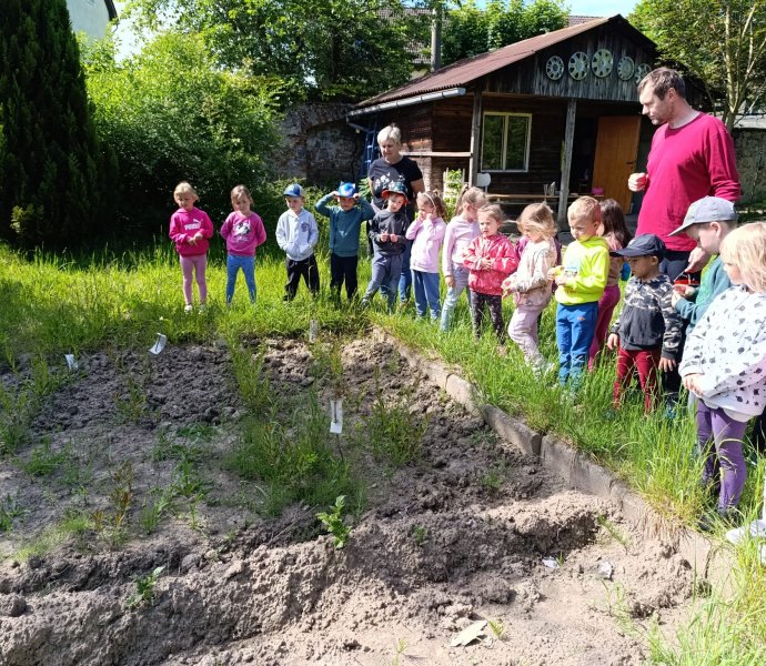 Obrázek galerie  26408