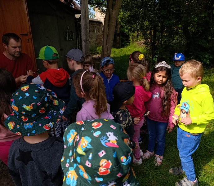 Obrázek galerie  26419