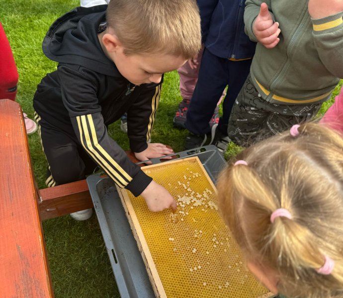 Obrázek galerie  26462