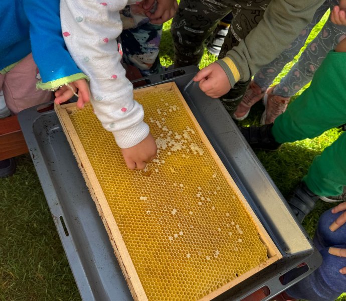 Obrázek galerie  26474