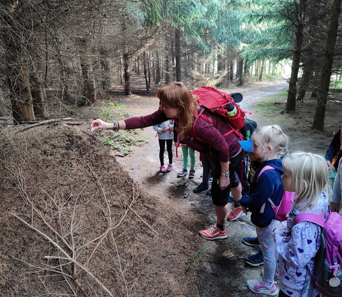 Obrázek galerie  26523