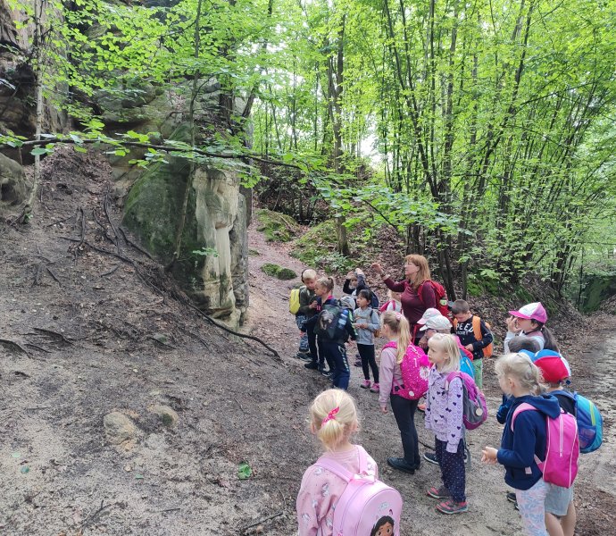 Obrázek galerie  26527