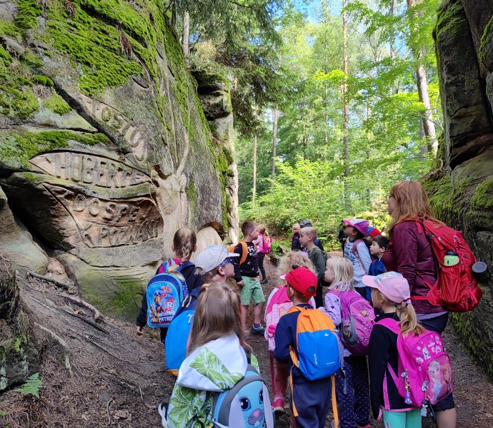 Obrázek galerie  26529