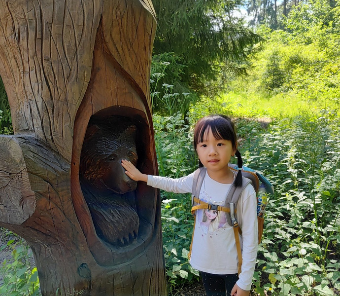 Obrázek galerie  26557