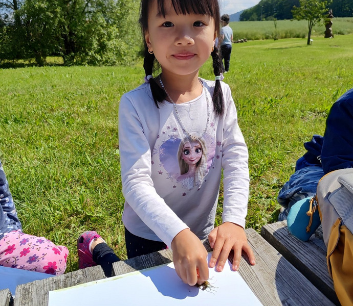 Obrázek galerie  26564