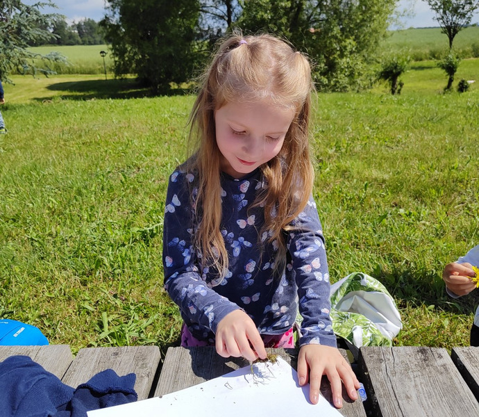 Obrázek galerie  26571