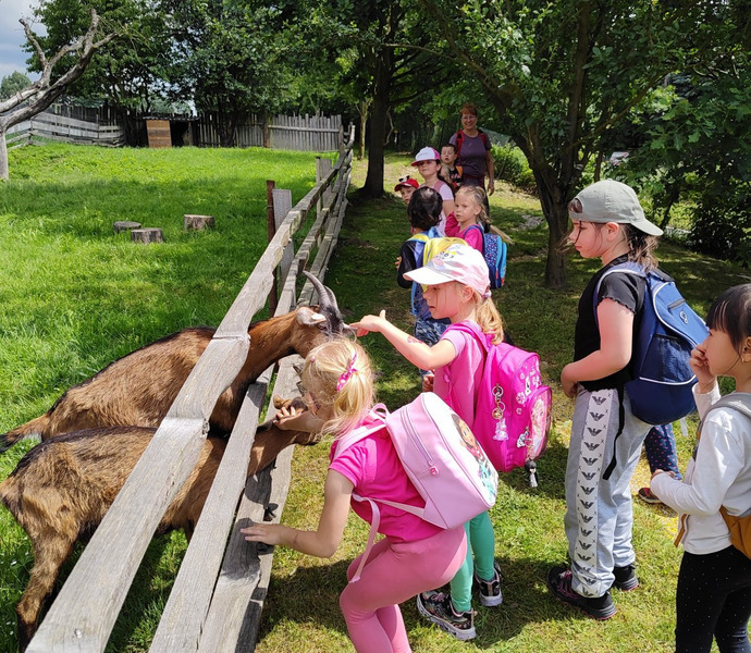 Obrázek galerie  26580