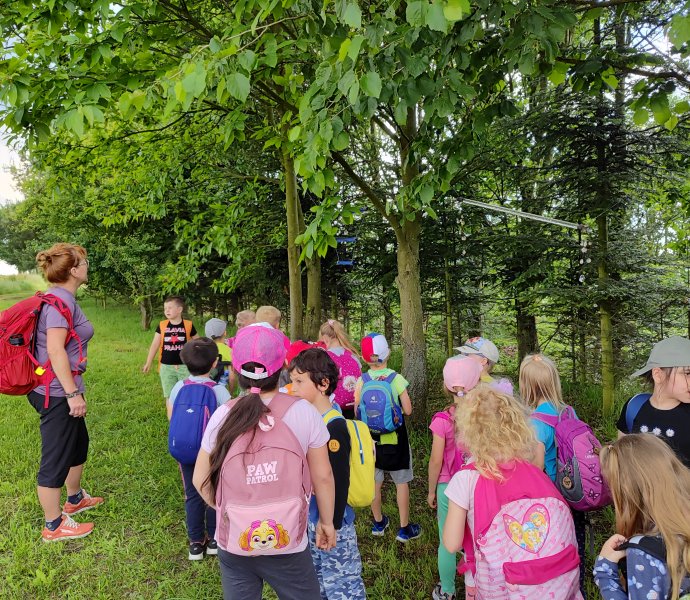 Obrázek galerie  26583