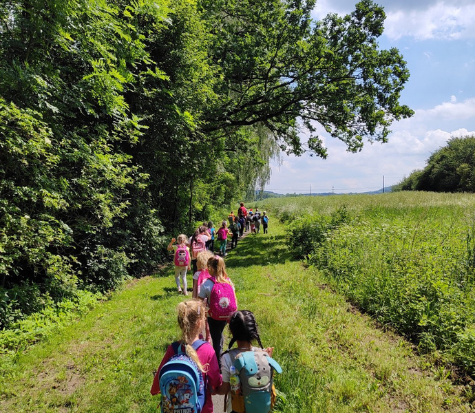 Obrázek galerie  26591