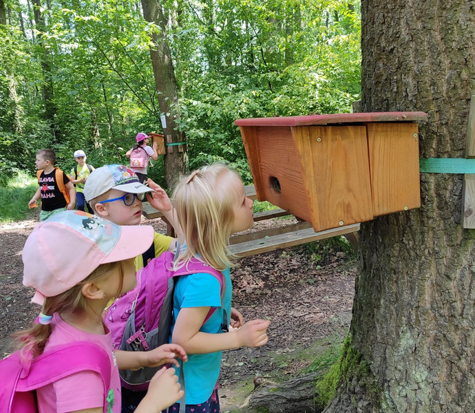 Obrázek galerie  26600