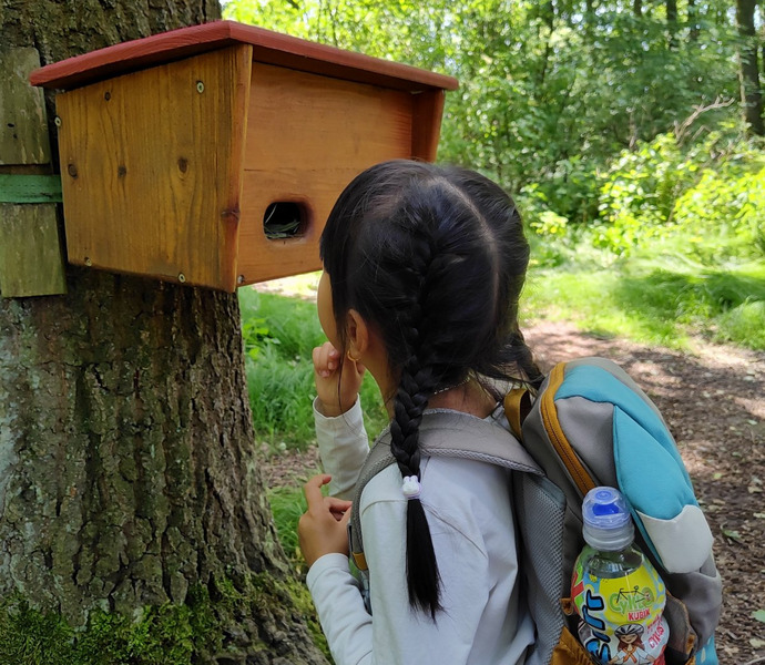 Obrázek galerie  26602