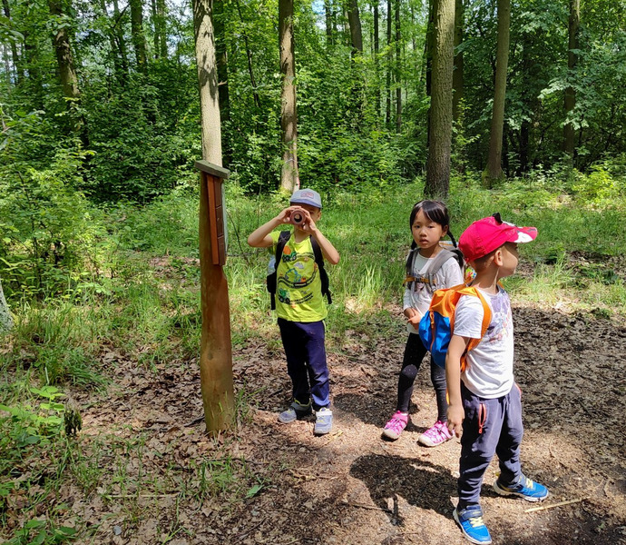 Obrázek galerie  26604