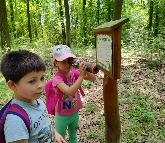 Obrázek galerie  26606