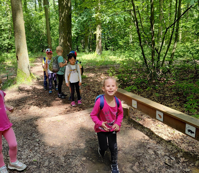 Obrázek galerie  26609