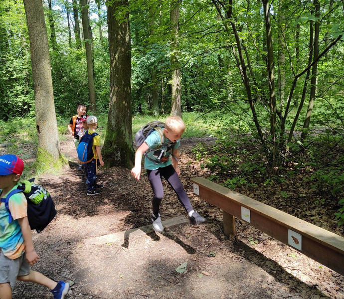 Obrázek galerie  26610