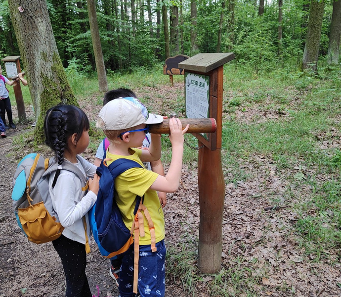 Obrázek galerie  26612