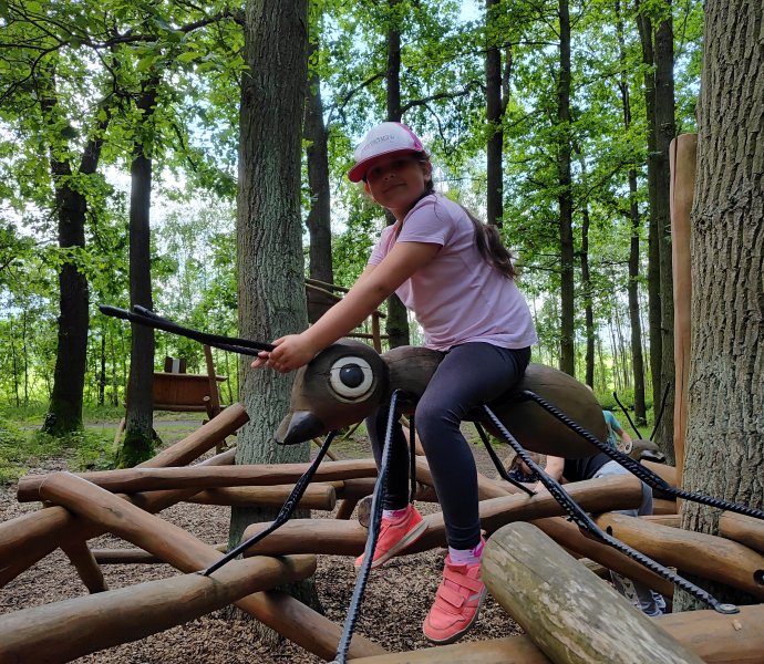 Obrázek galerie  26618