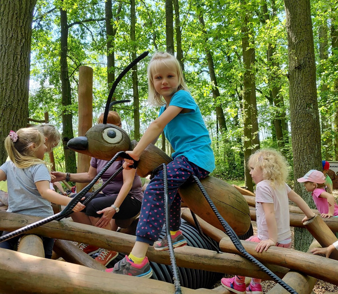 Obrázek galerie  26620