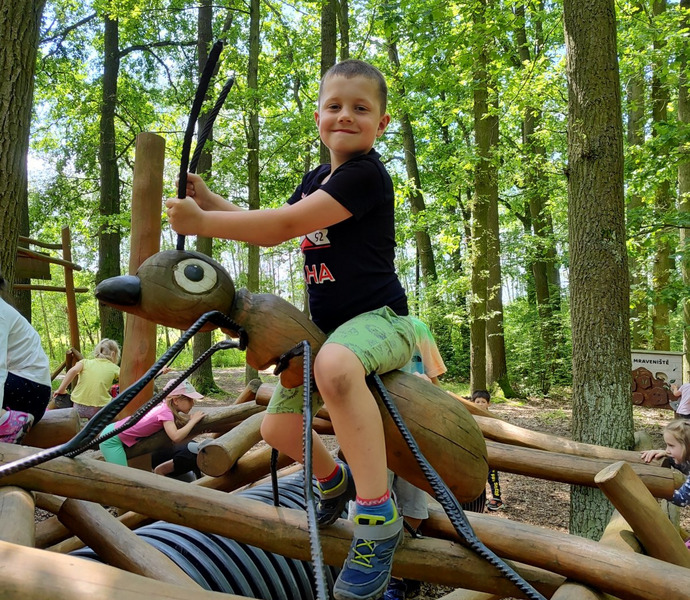 Obrázek galerie  26622