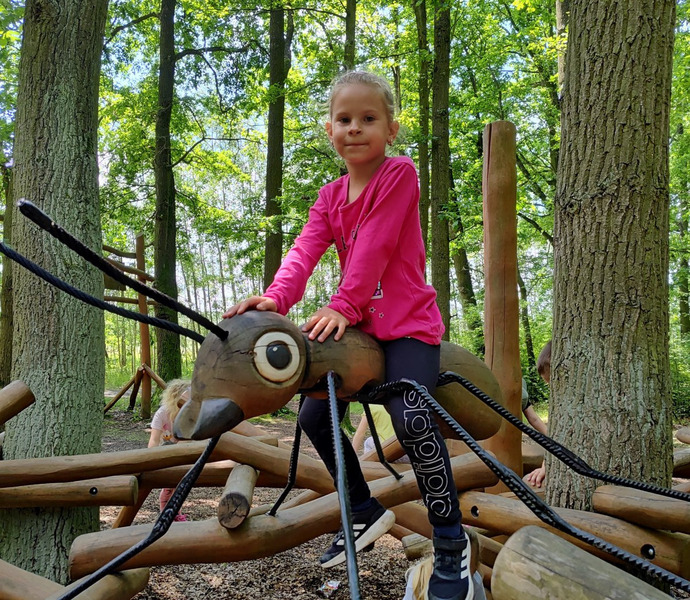 Obrázek galerie  26624