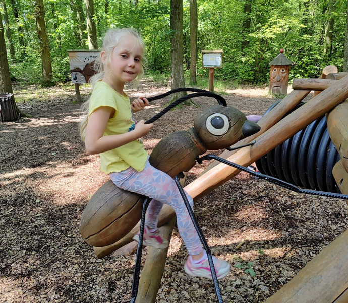 Obrázek galerie  26627