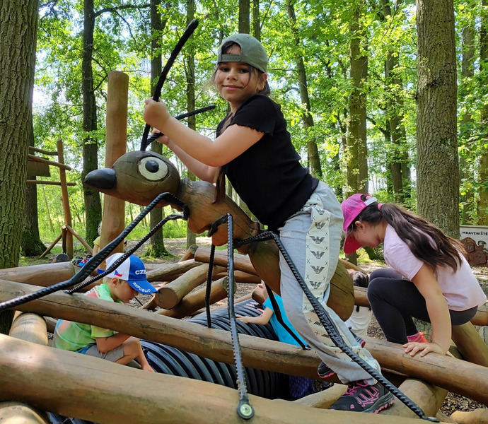 Obrázek galerie  26628