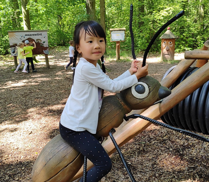 Obrázek galerie  26630