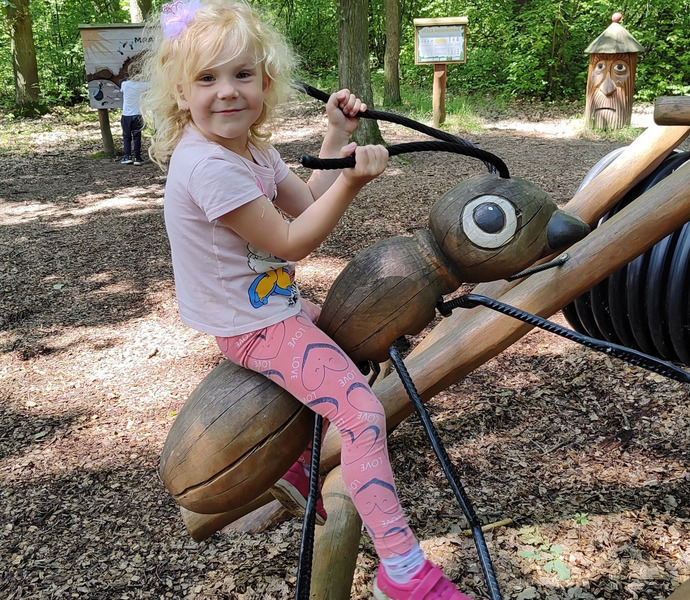 Obrázek galerie  26631