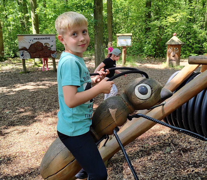 Obrázek galerie  26633