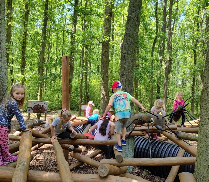 Obrázek galerie  26637