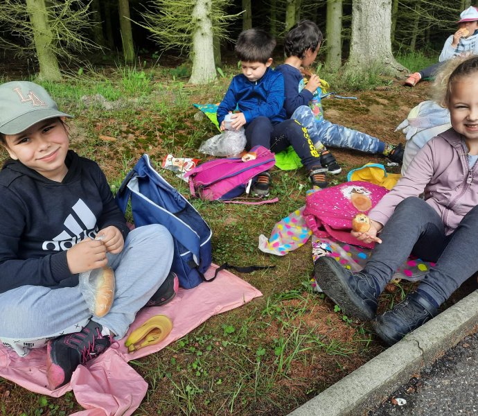 Obrázek galerie  26658