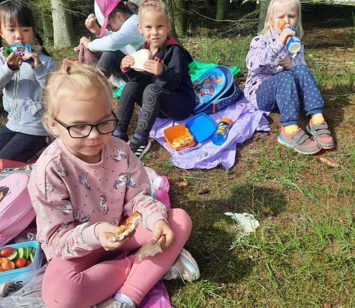 Obrázek galerie  26662