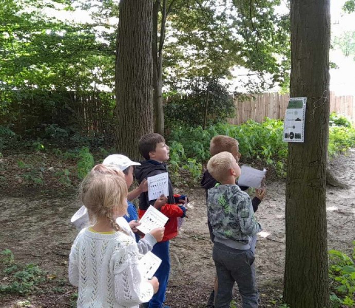 Obrázek galerie  26673