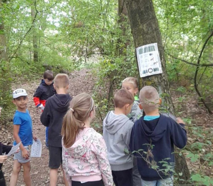 Obrázek galerie  26674