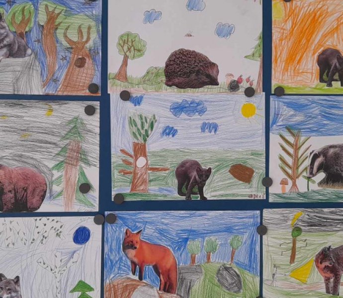 Obrázek galerie  26677