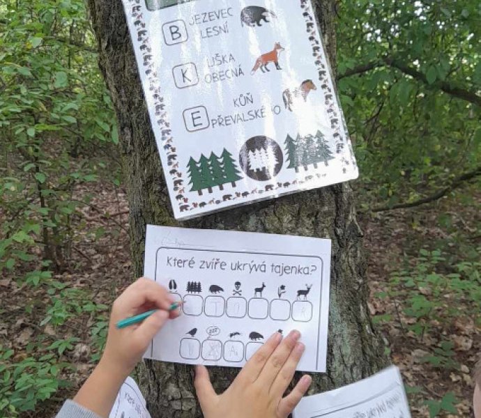 Obrázek galerie  26679