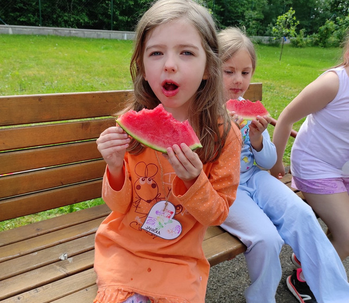 Obrázek galerie  26881