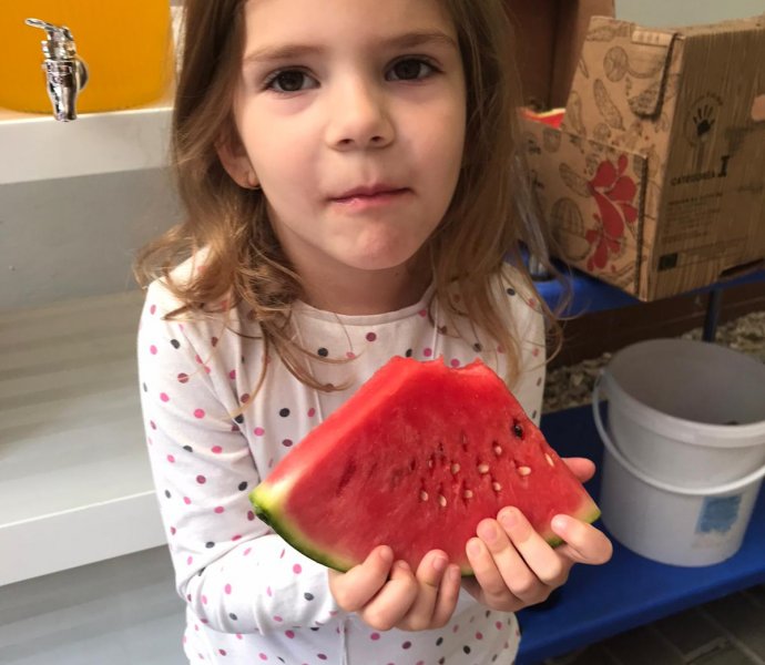 Obrázek galerie  26908