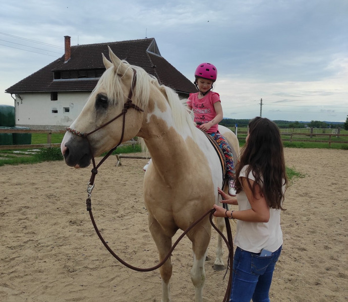 Obrázek galerie  26983