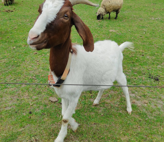 Obrázek galerie  27012